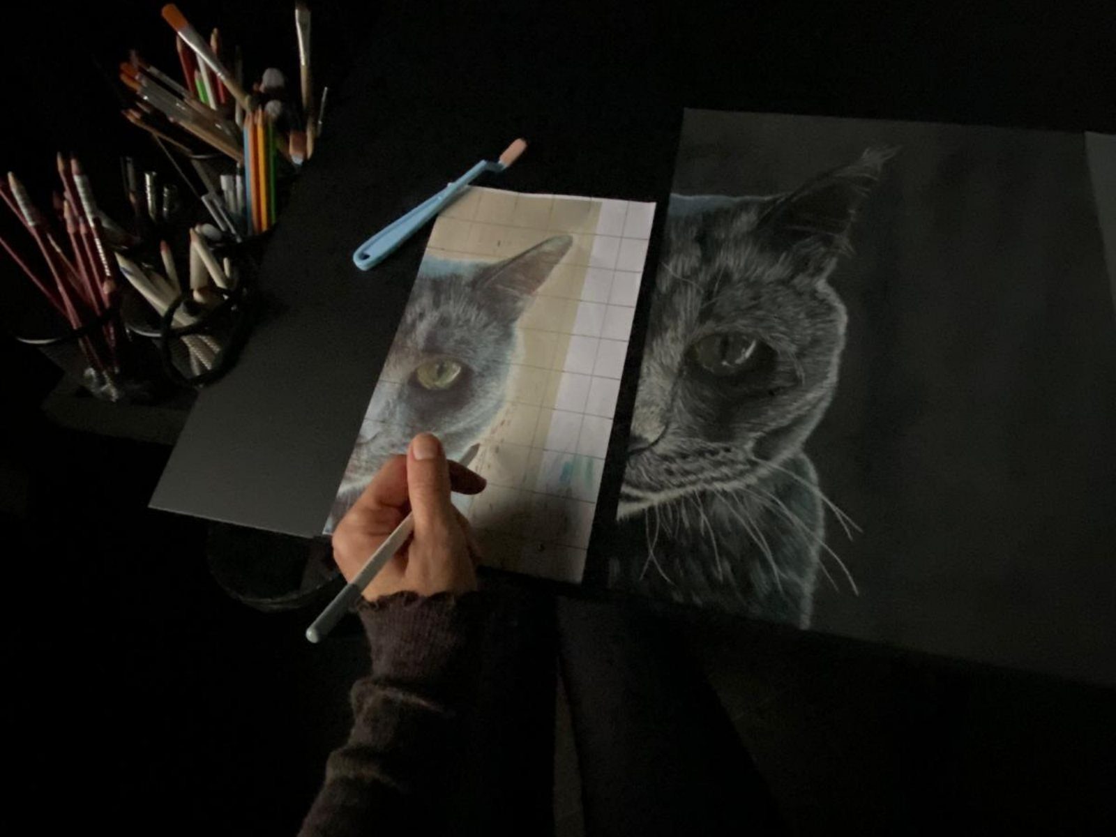 Disegno di un gatto in lavorazione al tavolo del salone